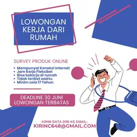 Lowongan Marketing Freelance WFH