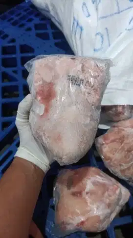Ayam Frozen ayam potong