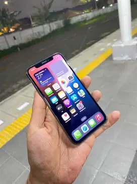 Iphone XS 64 gb ex inter
