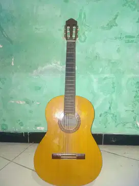 jual gitar yamaha C315