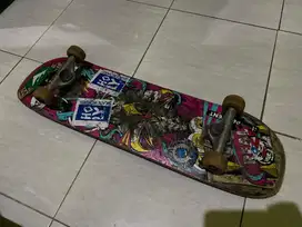 skateboard spek pro