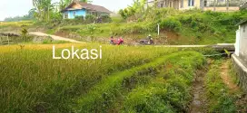 JUAL LAHAN SAWAH DI CIAPUS BANJARAN BANDUNG