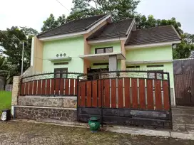 Rumah candi panggung kota malang