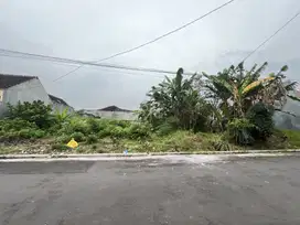 LANGKA Tanah SUHAT Strategis Jln Papa Papa Dekat Masjid