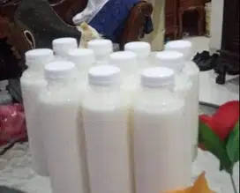 susu kambing etawa murni 100% kemasan botol 250ml min 1 liter 4 botol