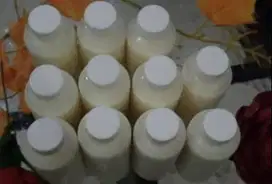 susu kambing etawa murni 100% 1 liter botol 250ml berkhasiat tinggi ok
