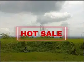 TERMURAH, Kavling Sagamore Hills Taman Dayu Pandaan Dkt Trawas