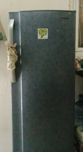 Kulkas Sharp 1 Pintu