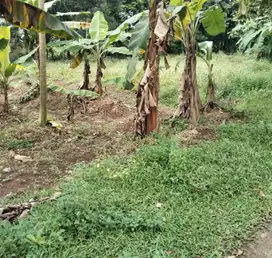 tanah  500  meter SHM 20 meter ke jln utama