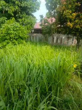 Di jual tanah kosong dalam komplek