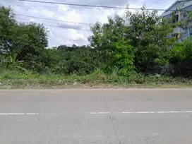 Tanah 200 m Pinggir Jalan Raya Palka Dekat Untirta Sindangsari