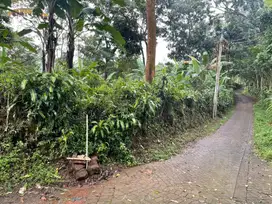 Dijual tanah milik pribadi