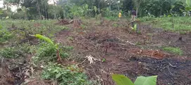 Tanah datar murah meriah nempel jalan mobil
