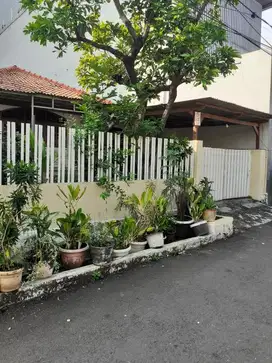 Nego Sampai Jadi Rumah Halaman Luas di Gandaria
