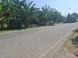 TANAH PINGGIR JALAN RAYA SIDOARJO SRAGEN