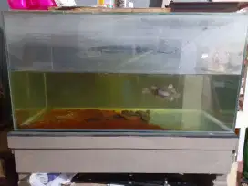 Aquarium ukuran 80x40 cm