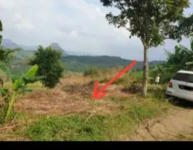Dijual cepat tanah di Jonggol - Bogor