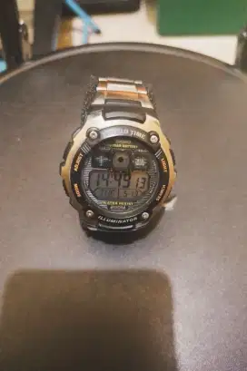 CASIO AE-2000WD-1A