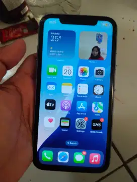 iPhone XR  64gb  minus face id off  kamera speaker silent aman