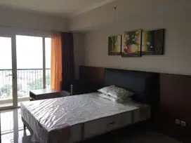 facd. Disewakan Fully Furnished Apartemen Oasis Tipe Studio di Lippo C
