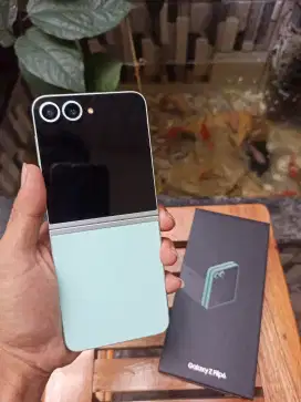 Samsung z Flip 6 12/256Gb