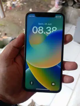 iphone X 256GB all operator