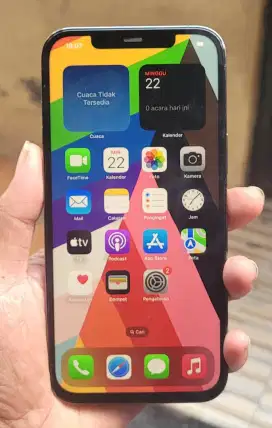 IPHONE 12 PM 256GB HP CHARGER
