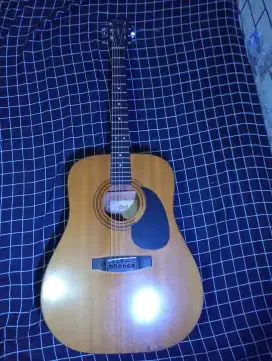 GITAR CORT AKUSTIK ELEKTRIK