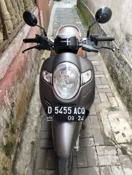 Honda Scoppy 2019
