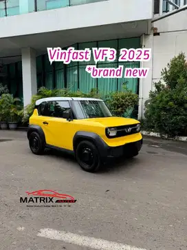 Vinfast VF3 nik 2025 .