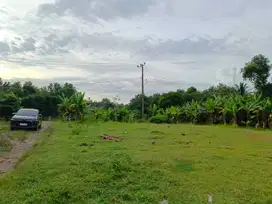 Dekat bumi Perkemahan karang Kitri Cibarusah. Siap bangun Hunian