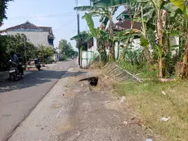 Tanah 524m² muka 20m jln 5m , 50m jalan raya polokarto : *