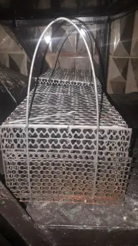 Perangkap tikus baru
