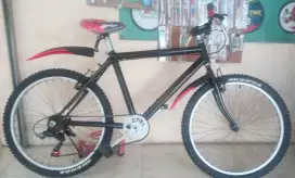 Sepeda Gunung Repaint 24 Mantap