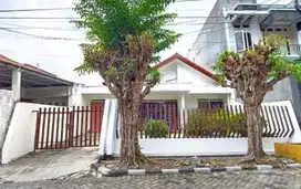 Rumah surabaya darmo permai, dekat pakuwon pradah lontar citraland