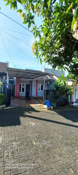 Disewakan Rumah Asri