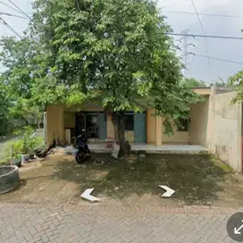 rumah usaha murah hitung tanah area wisma lidah kulon dkt Wiyung
