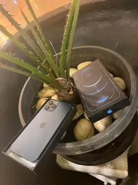 iphone 12 pro max 128gb selsai baru