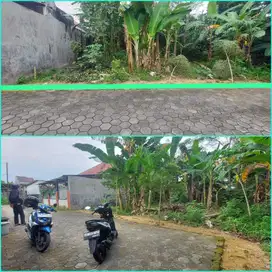 Tanah pekarangan popongan dekat sekali kampus UGM
