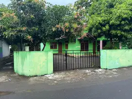 Disewakan rumah hijau beteng keliling di Kota Wates Jalan Lebar