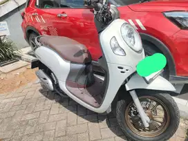 SCOOPY PRESTIGE 2024