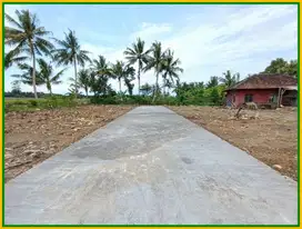 Dekat Grand Dafam Wates Jual Tanah Siap AJB Jogja