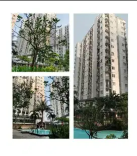 Sewa APARTEMEN PARAGON