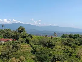 BEACHFRONT LAND FOR SALE – BANJAR AREA, NEAR LOVINA