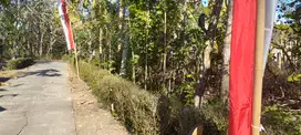 JUAL TANAH DI WIJIMULYO NANGGULAN KULONPROGO
