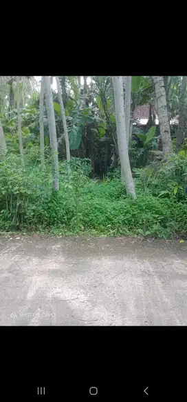 JUAL TANAH DI TAYUBAN PANJATAN KULONPROGO