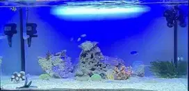 Paket lengkap aquascape