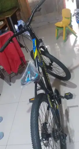 Jual sepeda Phoenix