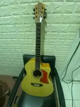 akustik elektrik coleclark
