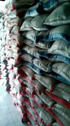 Pasir Kucing di Pet Shop Felix